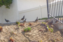 DSCN4547_resize
