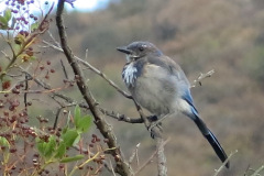 IMG_3880_resize
