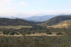 IMG_3888_resize