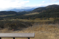 IMG_3891_resize