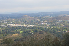 IMG_3892_resize
