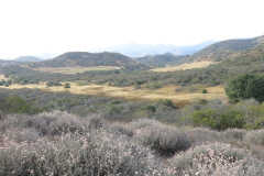 IMG_3900_resize