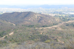 IMG_3901_resize