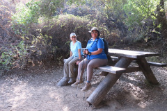 IMG_3906_resize