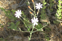 IMG_3908_resize