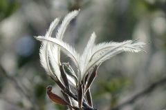 IMG_3912_resize
