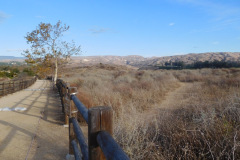 DSCN3323_resize