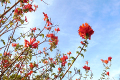 DSCN3324_resize