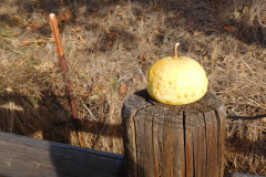 DSCN3325_resize