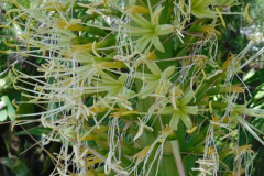 DSCN3338_resize