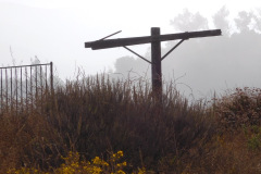 DSCN2510_resize