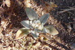 DSCN2516_resize