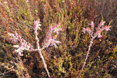 DSCN2519_resize