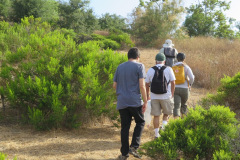IMG_3773_resize