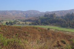 IMG_3777_resize