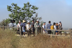 IMG_3780_resize