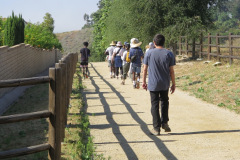 IMG_3786_resize