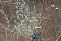 IMG_3812_resize