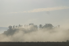 IMG_3818_resize