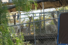 IMG_3825_resize