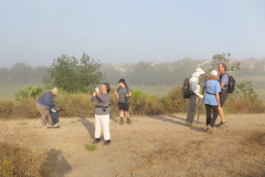 IMG_4210_resize