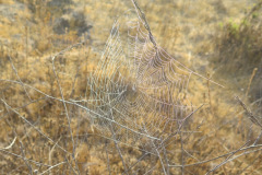 IMG_4212_resize