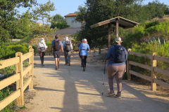 IMG_4215_resize