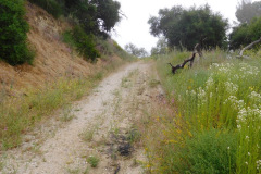 DSCN2352_resize