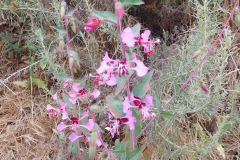 DSCN2355_resize