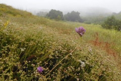 DSCN2356_resize