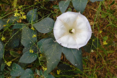 DSCN2357_resize