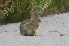 DSCN2359.1_resize