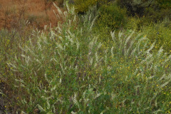 DSCN2365_resize