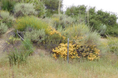 DSCN2369_resize