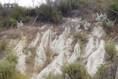 DSCN2370_resize
