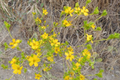 DSCN2372_resize