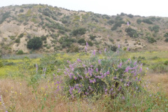DSCN2373_resize