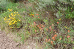 DSCN2374_resize