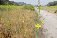 DSCN2383_resize