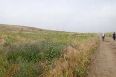 DSCN2390_resize