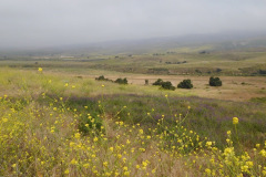 DSCN2391_resize