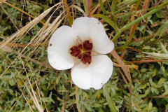 DSCN2395_resize