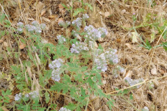 DSCN2396_resize