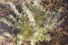 DSCN3102_resize