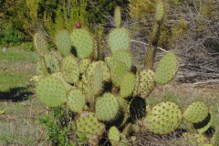 DSCN3627_resize
