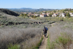 DSCN3628_resize