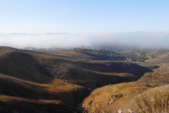 DSCN4328_resize