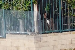 DSCN4330_resize
