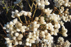 DSCN4336_resize