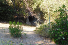 DSCN4342_resize